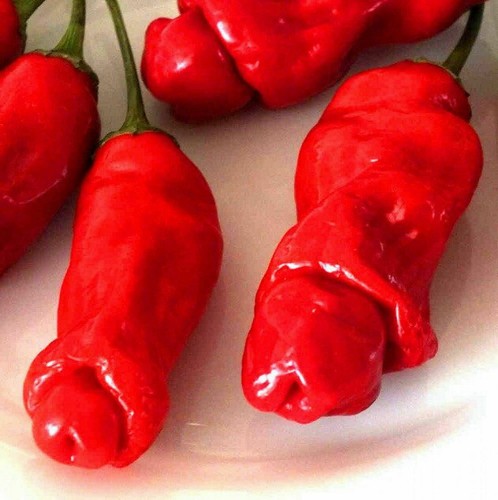 200 red penis - 200, peter