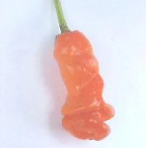 Seeds peter pepper - 25+,