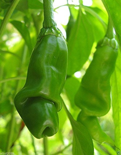 Peter pepper - peter,