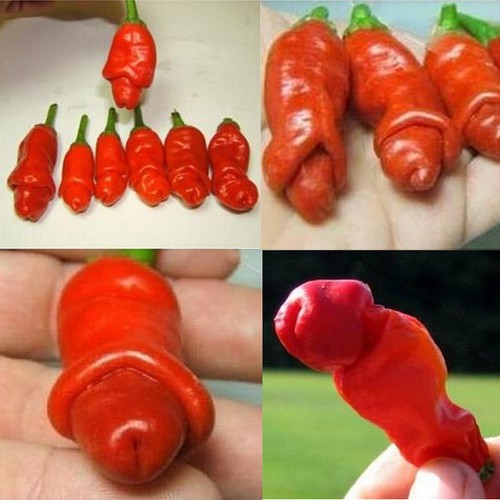 100pcs seeds peter - seeds,