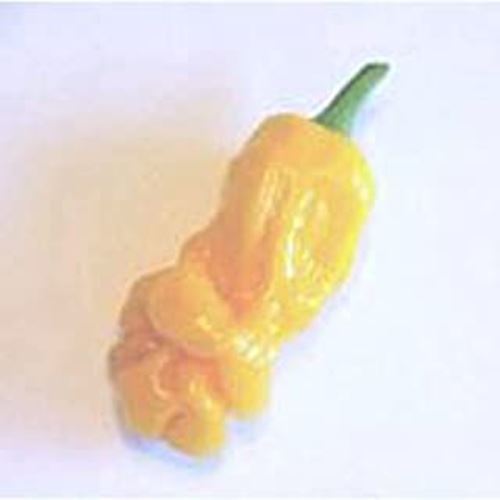 Peter pepper hot peppers - peter,