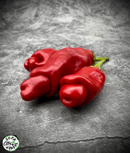 Peter red pepper seeds - peter,