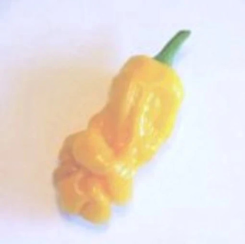 Seeds peter yellow pepper - seeds,
