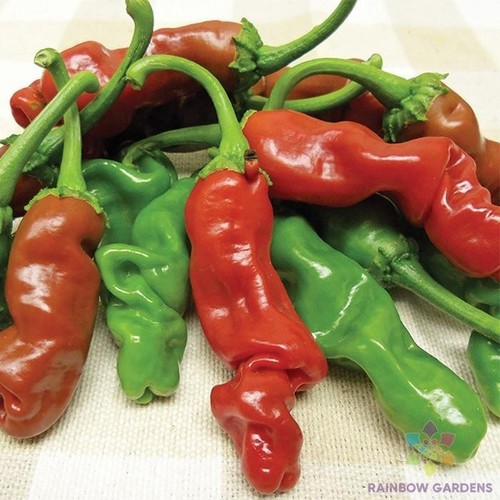 Peter pepper hot - 25+,